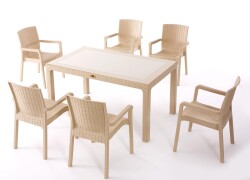 Heniver Rattan 90x150cm Vektör Camlı Set - 1