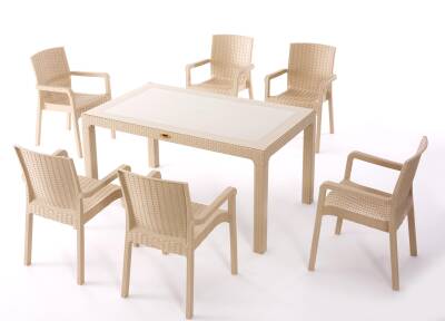 Heniver Rattan 90x150cm Vektör Camlı Set - 1