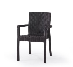 Heniver Vektör Rattan Sandalye - 2