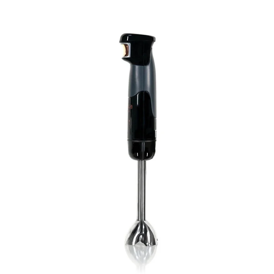 Arnica 12G2 Panna Stick Blender Siyah