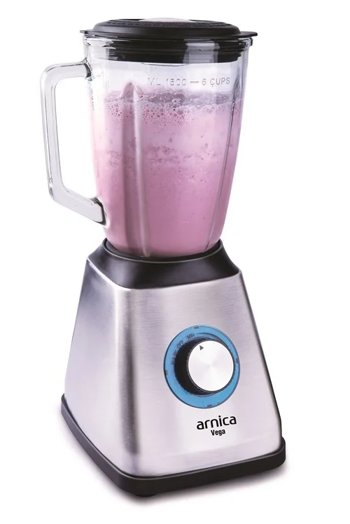 Arnica 170J Vega Blender Gümüş