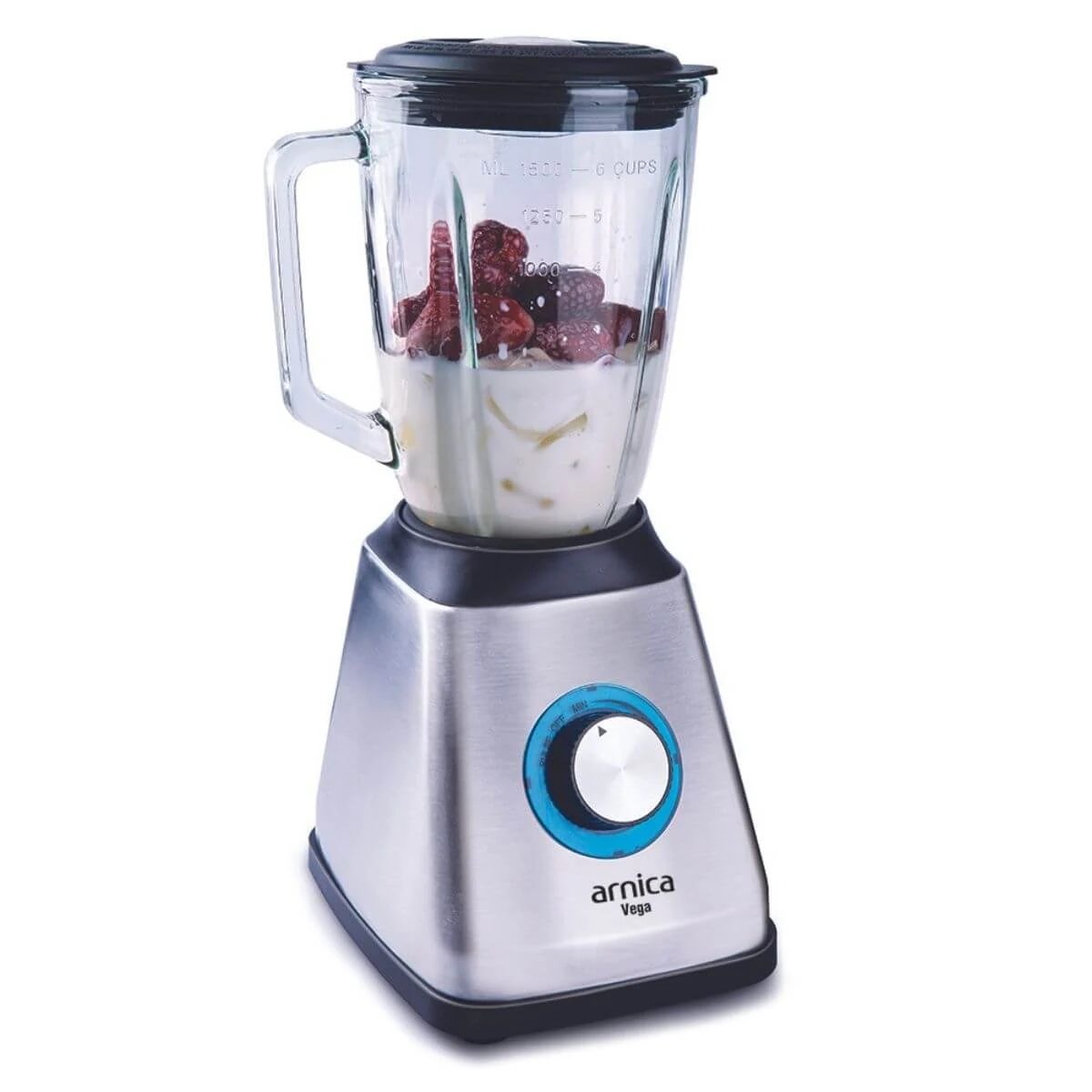 Arnica 170J Vega Blender Gümüş