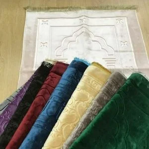 PELUS SECCADE 80X120