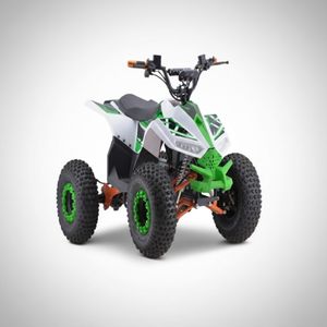 QY-06 Elektrikli ATV