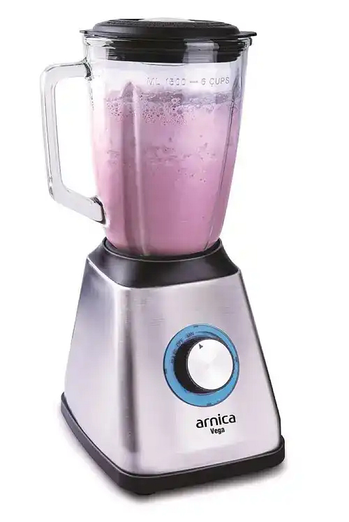 Arnica 170J Vega Blender Gümüş