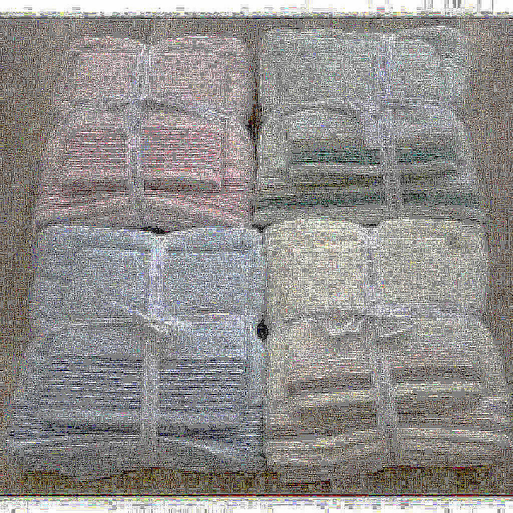 HAVLU SET 2LI (70X140-50X90)