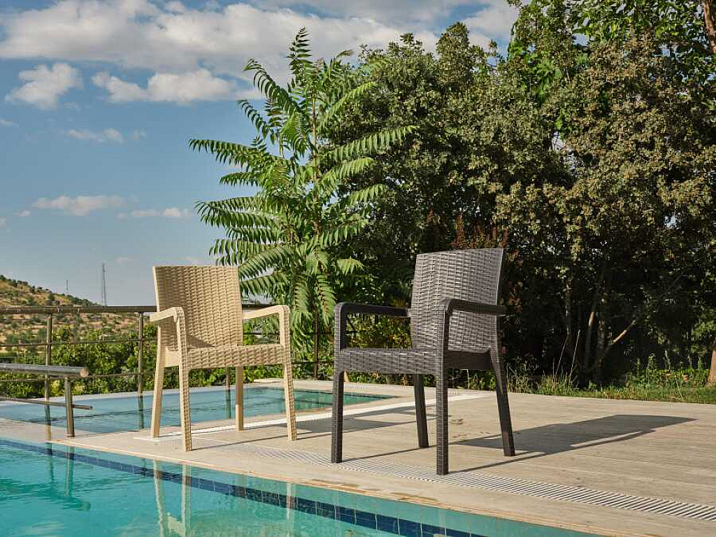 Heniver Vektör Rattan Sandalye