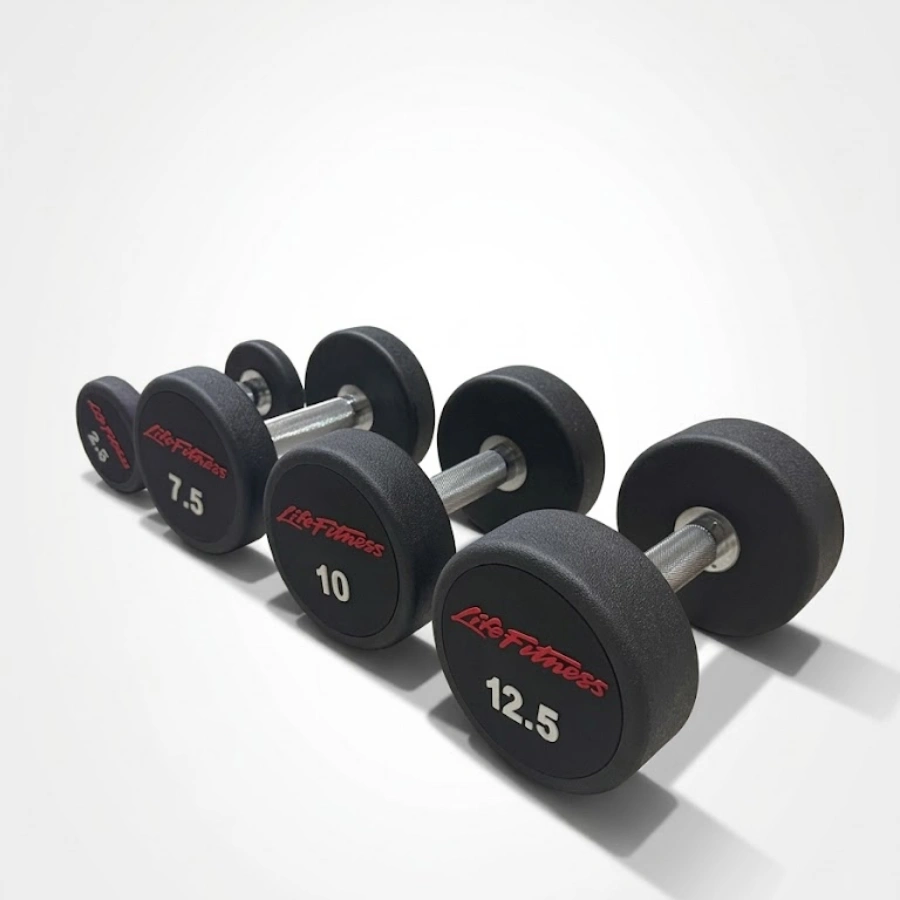 DAMBIL SPOR ALETI 2,5 KG